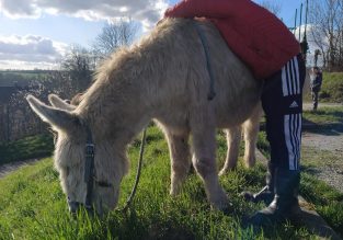Atelier nature avec les animaux