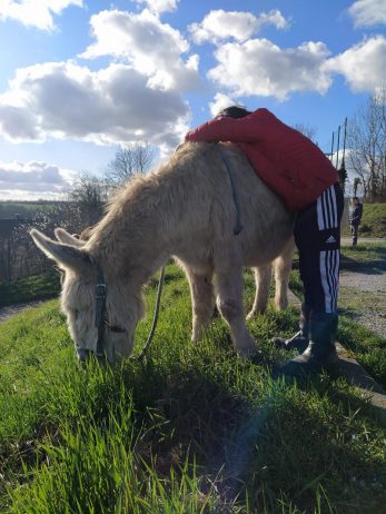 Moment privilégié avec les animaux