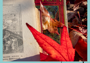 Exposition : Autour du livre