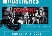 Bal des moustaches