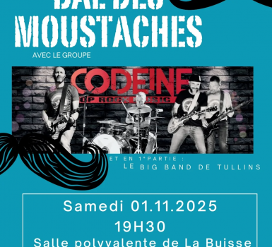 Bal des moustaches