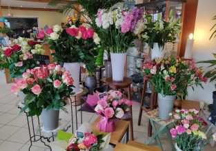 Vente de fleurs, d’arbustes et d’arbres au Jardin des Roses