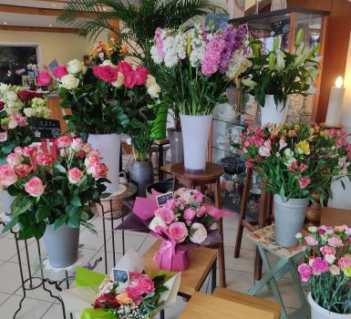 Vente de fleurs, d’arbustes et d’arbres au Jardin des Roses