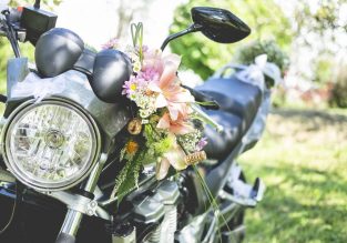 Vente de fleurs, d’arbustes et d’arbres au Jardin des Roses