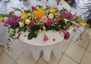 Vente de fleurs, d’arbustes et d’arbres au Jardin des Roses