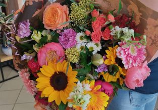 Vente de fleurs, d’arbustes et d’arbres au Jardin des Roses