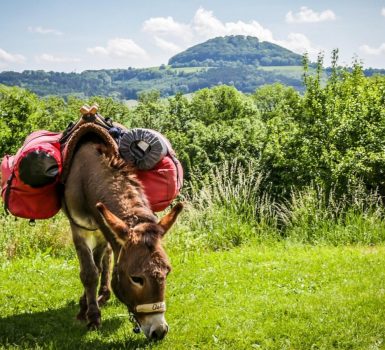 À Pas Lents : Randonnée et bivouac pour enfants