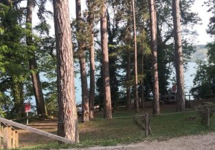 Le Comptoir du Bois d’Amour