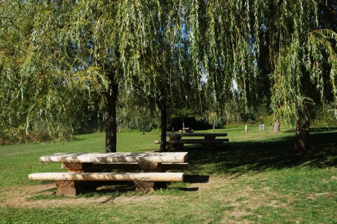 Plage de Montferrat tables à l’ombre