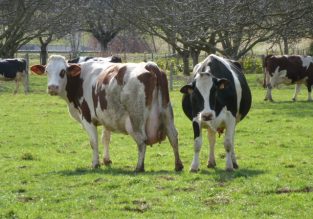 Vente de viande et produits laitiers à la ferme de l’Aune