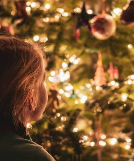 Histoires pour les petits : Noël & l’hiver