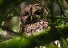 Projection du film : Un autre regard