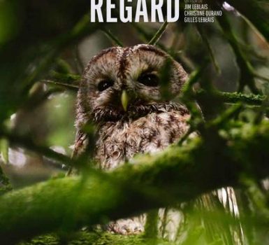 Projection du film : Un autre regard
