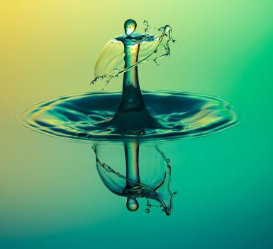 Lecture collective : Les enjeux de l’eau en question 