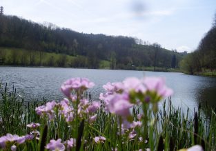 N°1 – Les étangs d’Oyeu