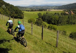 N°23 – Forêt de la Sylve Bénite