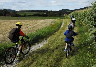 N°21 – Le champ des vaches