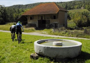 N°21 – Le champ des vaches