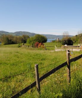 Sur la trace des Chartreux