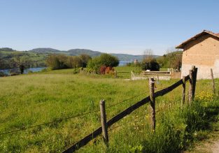 Sur la trace des Chartreux