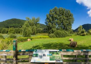 Les marais de Chirens