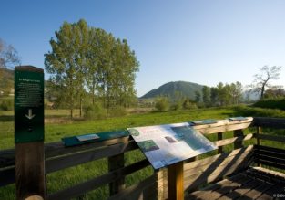 Les marais de Chirens