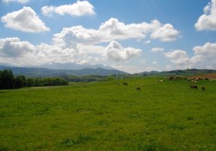 Des châteaux à la campagne