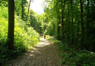 Des châteaux à la campagne