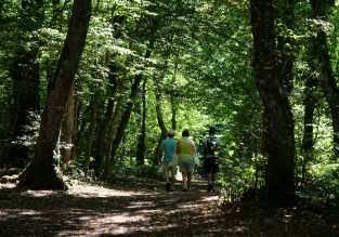 Notre-Dame de Vouise