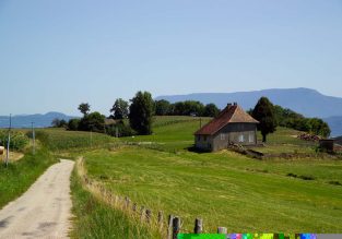 L’ancienne Forêt Noire de la Chapelle de Merlas