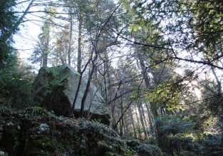 L’ancienne Forêt Noire de la Chapelle de Merlas
