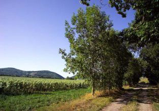 Le Bocage du Bessey