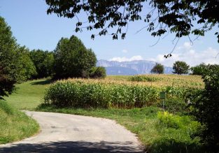 Le Bocage du Bessey