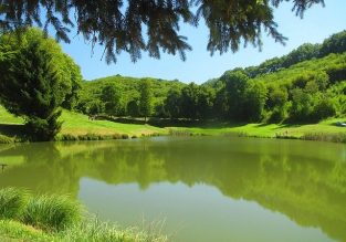 Les Etangs du Thivoley
