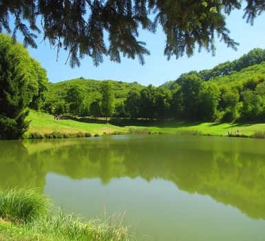 Les Etangs du Thivoley