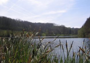 Les Etangs du Thivoley