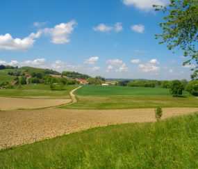 Autour du Mont Cuchet