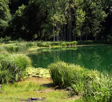 N°35 – Saint Sixte le lac