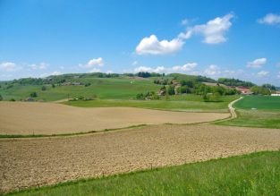 N°34 – Le Faucon
