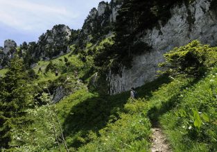 Objectif Grande Sure