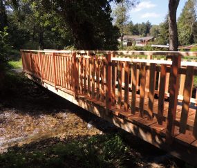 N°51 : Découverte du trail