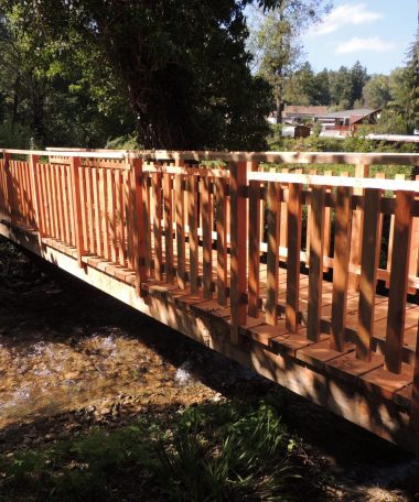 N°51 : Découverte du trail