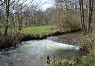 N°51 : Découverte du trail