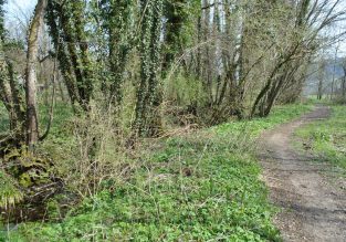 N°51 : Découverte du trail