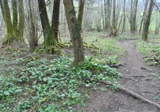 N°52 : Boucle du Baracuchet
