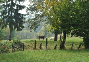 Le Chemin des Vaches