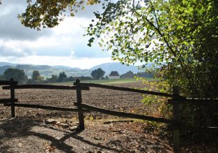 Le Chemin des Vaches