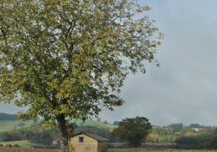 Le Chemin des Vaches