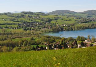 N°61 : Le bois de Briche