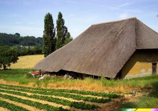 N°64 : Le Montfollet